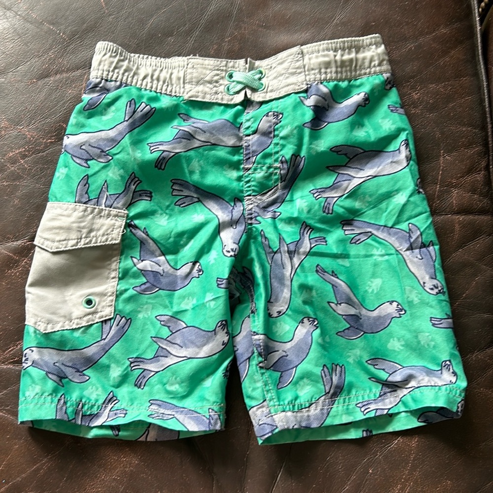 Boys swim shorts cute teal color with sea lions